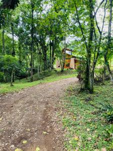 a dirt road in the middle of a forest at Cabana Maktub in Nova Veneza +12 photos