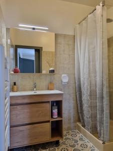 ein Badezimmer mit Waschbecken und Dusche in der Unterkunft Le Cocon Charentais in Saint-Même-les-Carrières + 26 Fotos