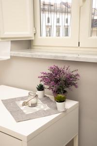 a kitchen counter with three potted plants on it at La Julienne AC in Naples