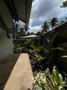 Κήπος έξω από το Tingala House in North Siargao