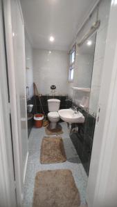 ein Badezimmer mit Toilette und Waschbecken mit Teppichen in der Unterkunft Cornesh el maadi in Kairo + 10 Fotos