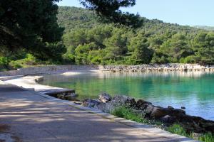 スタリー・グラードにあるApartments with parking spaces Dol, Hvar - 24122の横道水