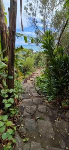 a stone path in the middle of a forest at G SPOT UPPER LEVEL with spa in Raglan