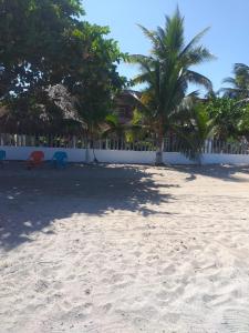 Pláž u apartmánu + 5 fotografií