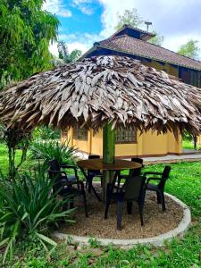 Zahrada ubytování Yawira House + 37 fotografií