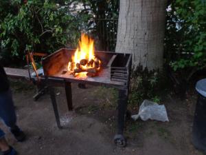 una parrilla con fuego junto a un árbol en Ashanti Lodge Backpackers, en Ciudad del Cabo