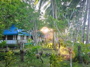 a house in the middle of a forest with trees at DK2 Resort - Hidden Natural Beach Spot - Direct Tours & Fast Internet in El Nido