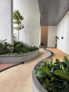 Garður fyrir utan Stylish Apartment in Colombo