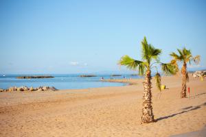 two palm trees on a sandy beach with the ocean at Suite GOLD Jacuzzi & Sauna privé I Centre Béziers Arrivée autonome 24h24 in Béziers