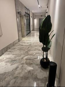 Gallery image of The Rose Apartment الدمام in Al Fayşalīyah