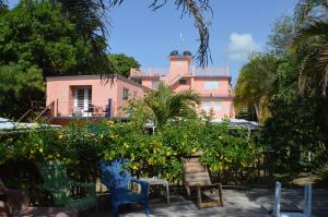 ein rosafarbenes Gebäude mit Orangenbäumen und Stühlen in der Unterkunft Esperanza Inn Guesthouse in Vieques