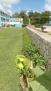 Zahrada ubytování The Grand Begonia Beach Hotel