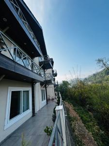 山景或在酒店看到的山景