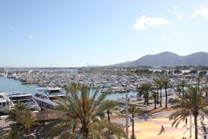 a marina with a lot of boats in the water at Hostal Brisa Marina in Port d'Alcudia