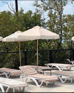 Φωτογραφία από το άλμπουμ του Hotel Chateau Kvareli σε Kvareli