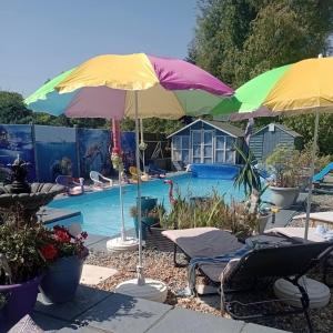 Bazén v ubytování SherPai Lodge nebo v jeho okolí