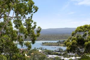 a view of a river from a hill with trees at Noosa Blue Resort in Noosa Heads