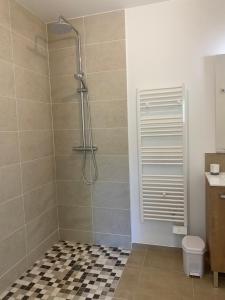 a bathroom with a shower with a toilet at La maison dans la prairie fleurie, espace et calme in Saint-Avit-Sénieur +18 photos