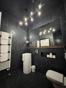 a black bathroom with a toilet and a mirror at Historical Luxury Homes - Familiensuite mit Terrasse in Freiburg im Breisgau +29 photos