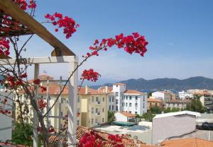 a view of a city with red flowers at Hotel Galaxy in Loutra Edipsou