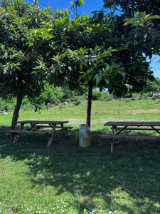 A garden outside Agriturismo La Betulla