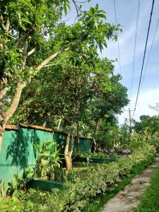 Gallery image of The Mango Villa in Unawatuna