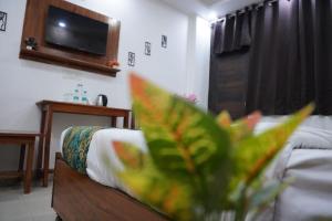 TV a/nebo společenská místnost v ubytování Hotel Frolic Stay