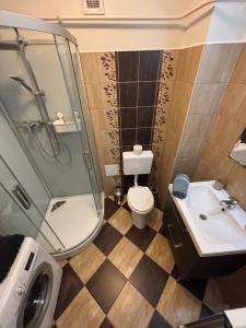 a bathroom with a shower toilet and a sink at Balian apartman in Siófok