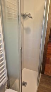 a shower with a glass door next to a toilet at Casa Gatto in Auronzo di Cadore +6 photos