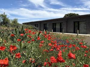 a field of red poppies in front of a building at V.V. Verde Amanecer 5 in Las Casas