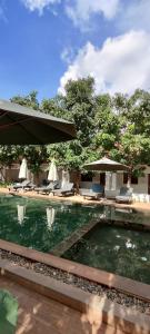 Bazén v ubytování Elmas Hotel Siem Reap nebo v jeho okolí
