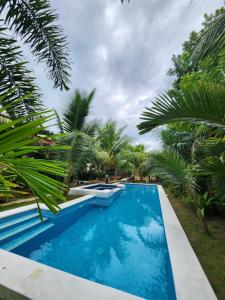 Bazén v ubytování Champagne Palm Resort nebo v jeho okolí