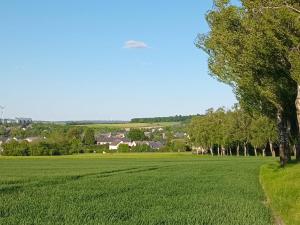 a field of green grass with a tree in the foreground at Trixi in Kastellaun