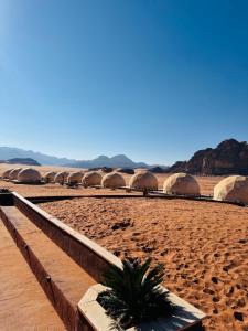 een rij koepels in de woestijn met een bos planten bij Rum Goldeneye luxury camp in Wadi Rum +60 foto's