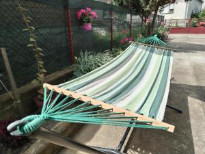 Gallery image of Family House in Golubac