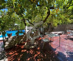 a tree with a table and a chair under it at La Despensa del Valle in Restábal