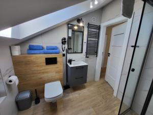 a bathroom with a sink and a toilet and a mirror at Zatoka Apartamenty in Władysławowo +137 photos