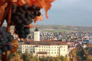 Příroda nedaleko hotelu + 20 fotografií