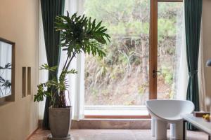 Vườn quanh Shanyu Life Huangshan Design Hotel
