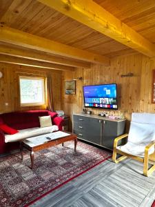TV a/nebo společenská místnost v ubytování Zabljak Skiers House
