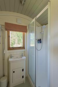 Ένα μπάνιο στο Woodland Cotswold Shepherds Hut +1 φωτογραφίες