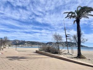 a palm tree on a sandy beach with the ocean at La Solana in Roses