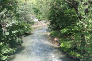 a river flowing through a forest with trees at Les Naïades C12 - 2 bedrooms for 5 people ! in Avène