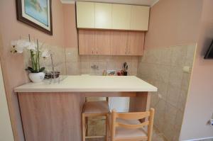 Kuchyň nebo kuchyňský kout v ubytování Sea View Studio Dobrota + 2 fotografie