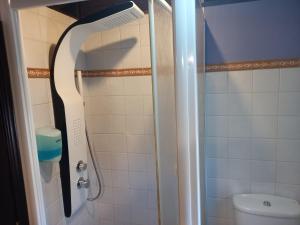 a bathroom with a shower with a toilet at Casas Recuero in Chinchón