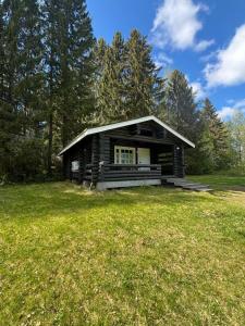 a small log cabin in a field with a grass yard at Koljonvirta Cottages in Iisalmi