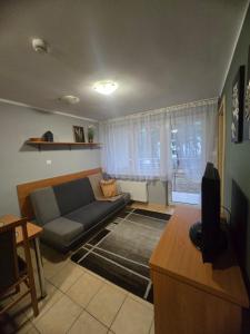 Een TV en/of entertainmentcenter bij Ośrodek Wczasowy Bursztyn
