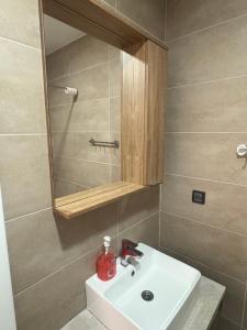 コパオニクにあるApartman The Nestの白い洗面台と鏡のあるバスルーム