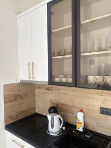 コパオニクにあるApartman The Nestのキッチン(白いキャビネット、黒いカウンタートップ付) +7枚の写真