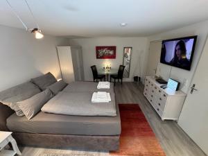 TV o dispositivi per l'intrattenimento presso Doppelzimmer in Stuttgart-Birkach - Nähe Musicals im SI-Zentrum, Messe, Flughafen, Uni Hohenheim